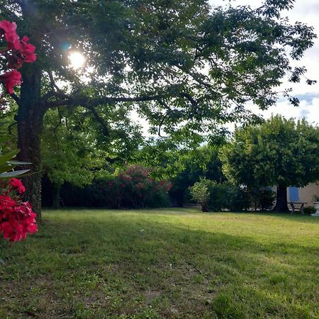 Saint-Étienne-du-Grès Le Petit Mas Des Alpilles En Provenceヴィラ エクステリア 写真