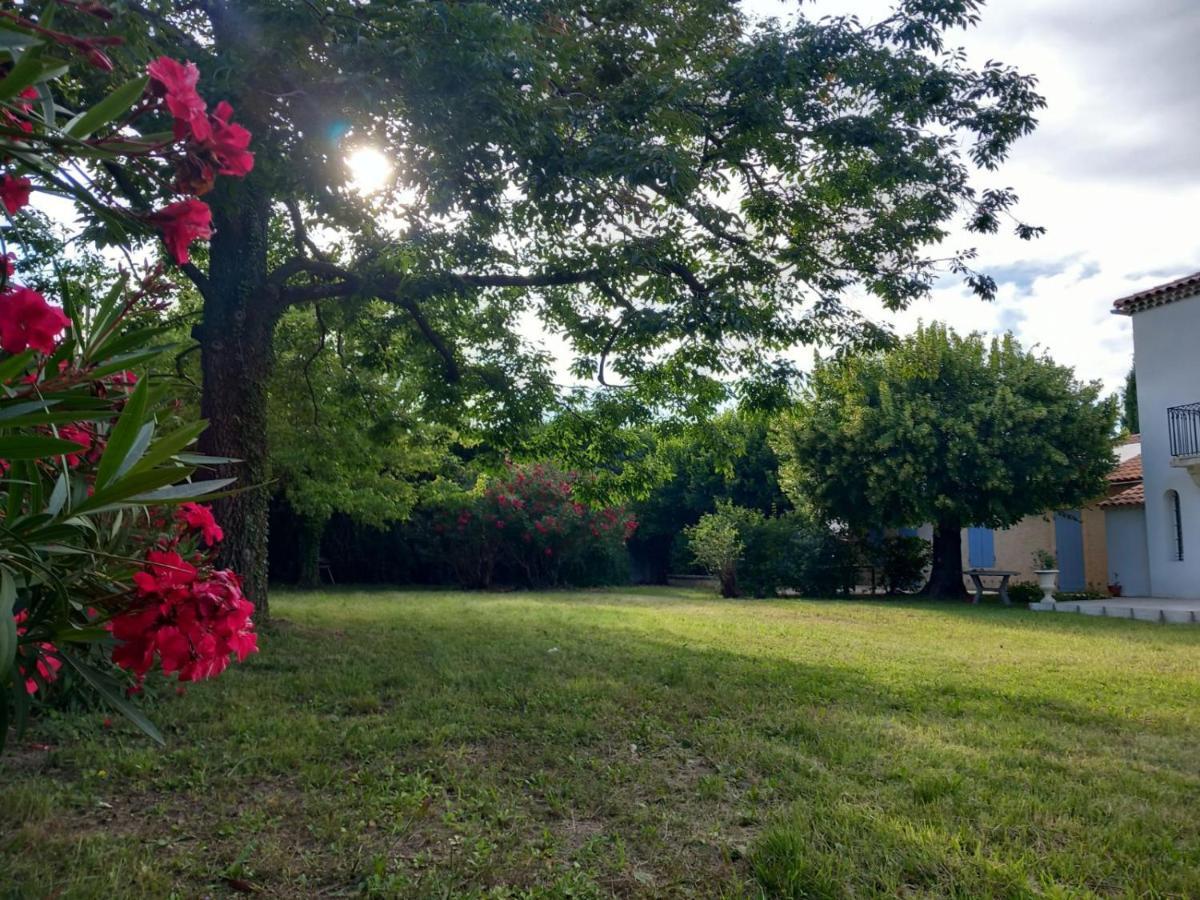 Saint-Étienne-du-Grès Le Petit Mas Des Alpilles En Provenceヴィラ エクステリア 写真